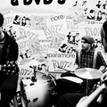 paramore_cats13.jpg
